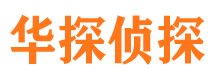 洪湖侦探公司